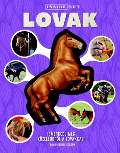 Lovak - Ismerkedj meg közelebbről a lovakkal! Outlet