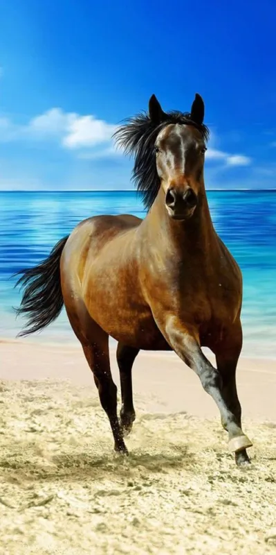 Lovas Beach fürdőlepedő, strand törölköző 70x140cm Biztonságos fizetés