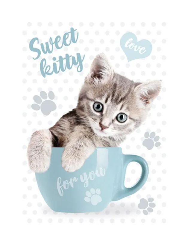 Nézd meg most Cicás Sweet Kitty A/4 gumis mappa