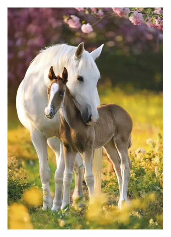 Vedd meg most Lovas Spring Foal A/4 gumis mappa