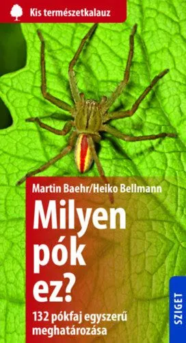 Milyen pók ez? - 132 pók egyszerű meghatározása Csak ma