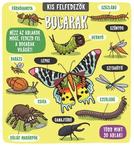 Ajánlat Kis felfedezők - Bogarak
