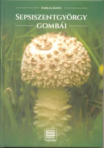 Outlet Sepsiszentgyörgy gombái