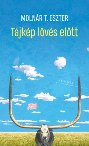 Tájkép lövés előtt Bestseller