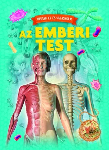 Szuper akció Olvasd el és válaszolj! - Emberi test