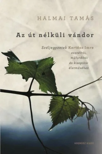 Különleges ajánlat Az út nélküli vándor - Széljegyzetek Kertész Imre esszéírói, műfordítói és kisepikai életművéhez