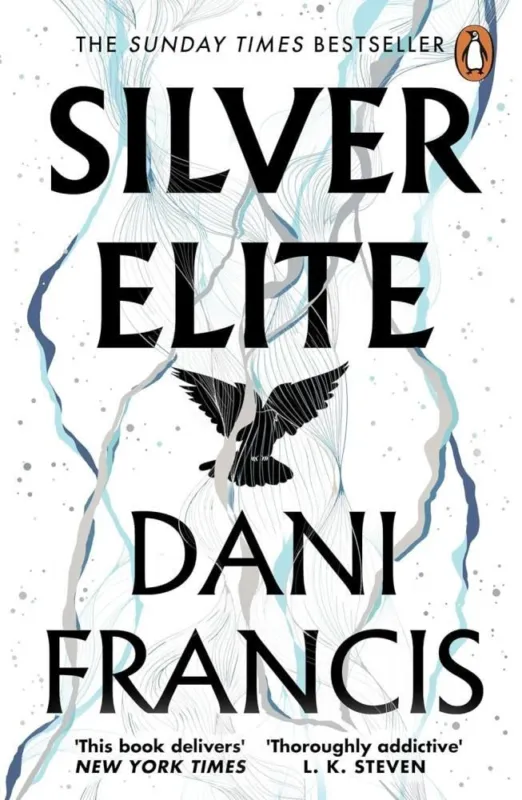 Legjobb ár Silver Elite (Silver Elite Series, Book 1)