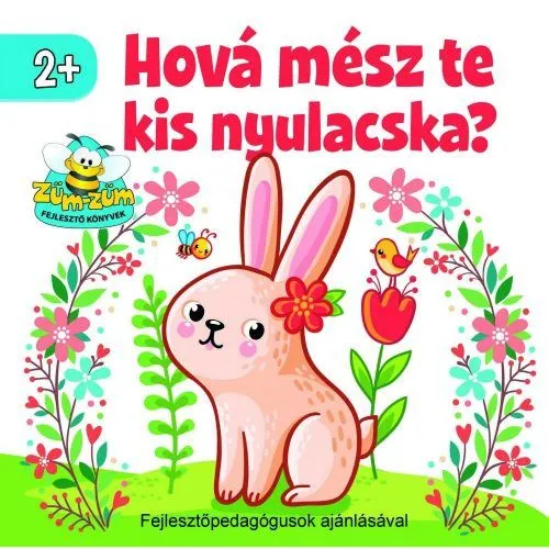 Gyors kiszállítás Hová mész te kis nyulacska?
