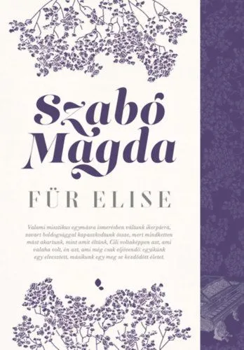 Für Elise Népszerű