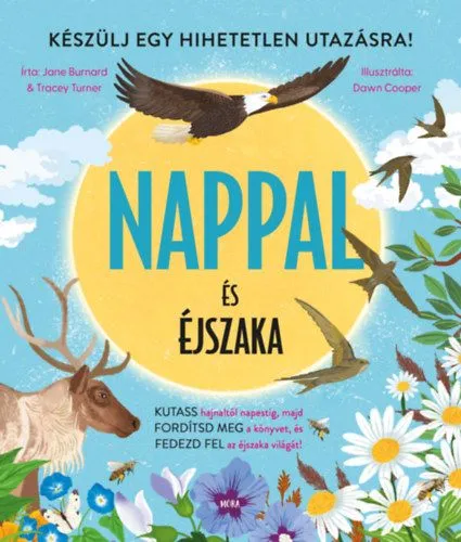 Akció Nappal és éjszaka