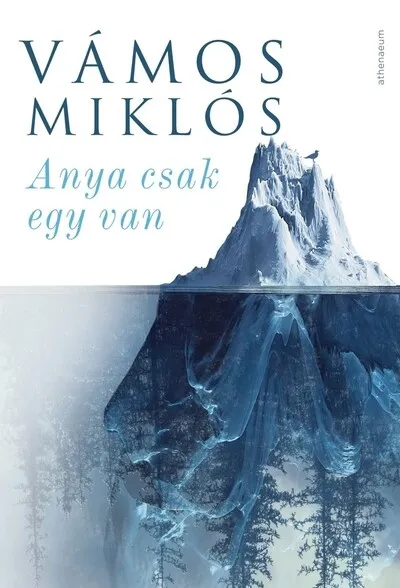 Azonnali szállítás Anya csak egy van (új kiadás)