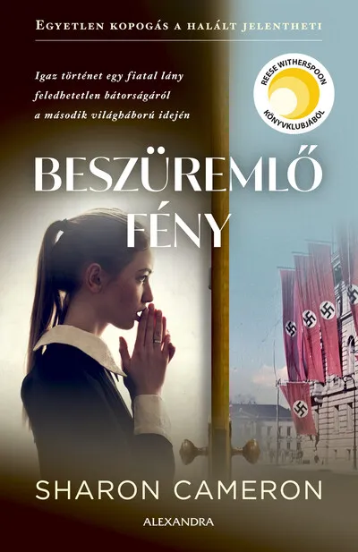 Vásárlói kedvenc Beszüremlő fény