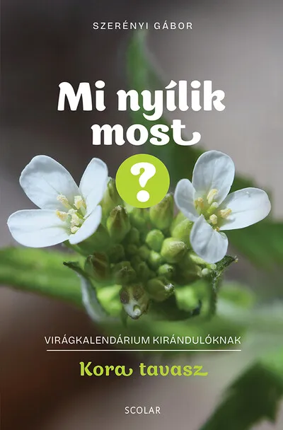 Mi nyílik most? - Kora tavasz - Virágkalendárium kirándulóknak Újdonság