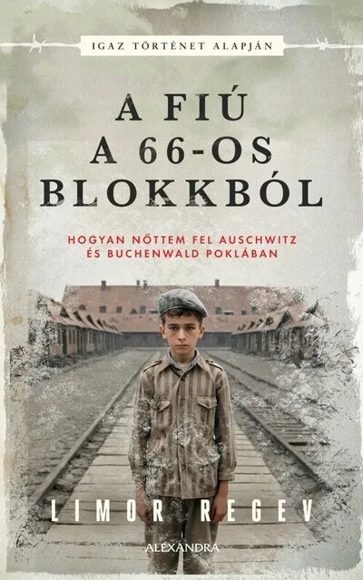 A fiú a 66-os blokkból Azonnal elérhető